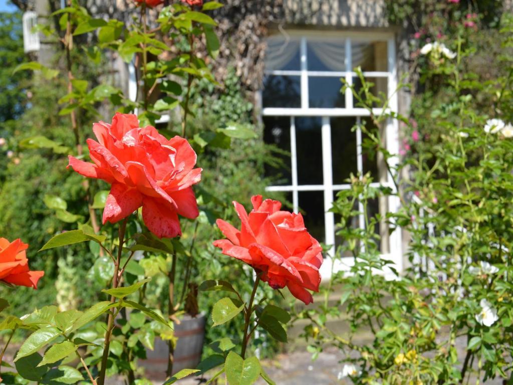 סטירלינג Powis House B&B מראה חיצוני תמונה
